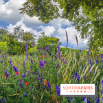 Visuel Paris Jardin des Plantes - Muséum MNHN