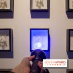 Araignées, Lucioles et Papillons au Musée en Herbe : nos photos