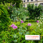 Le jardin des Arts-Albert Schweitzer à Paris, les photos