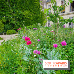 Le jardin des Arts-Albert Schweitzer à Paris, les photos