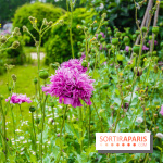 Le jardin des Arts-Albert Schweitzer à Paris, les photos