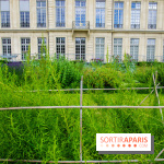 Le jardin des Arts-Albert Schweitzer à Paris, les photos