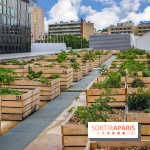 Le Perchoir ferme urbaine Porte de Versailles