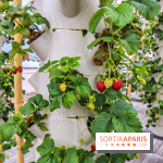 Le Perchoir ferme urbaine Porte de Versailles