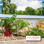 Le Perchoir ferme urbaine Porte de Versailles