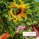 Le ciel de fleurs à Bercy Village