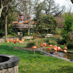 La Ménagerie du jardin des Plantes