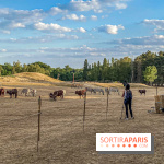 Photos du Dîner Safari du Zoo de Thoiry