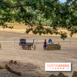 Photos du Dîner Safari du Zoo de Thoiry