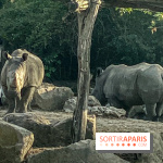 Photos du Dîner Safari du Zoo de Thoiry