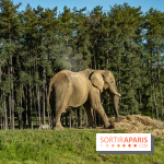 Photos du Dîner Safari du Zoo de Thoiry