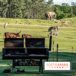 Photos du Dîner Safari du Zoo de Thoiry