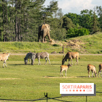 Photos du Dîner Safari du Zoo de Thoiry