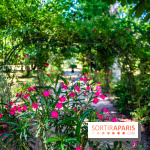 Le Waldorf Astoria Trianon Palace, un écrin royal au cœur du parc de Versailles