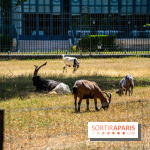 Le Waldorf Astoria Trianon Palace, un écrin royal au cœur du parc de Versailles