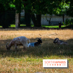 Le Waldorf Astoria Trianon Palace, un écrin royal au cœur du parc de Versailles