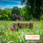 Des paniers pique-nique à savourer au Waldorf Astoria Trianon Palace de Versailles