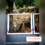 Sur les pas de Vincent Van Gogh, une balade à Auvers-sur-Oise