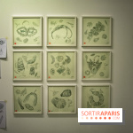 Exposition Lucy+Jorge Orta au Drawing Lab