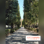 Photos : Rodin en son Jardin au Musée Rodin