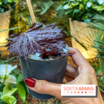 Photos bar 19.20 au Prince de Galles