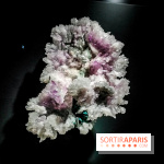 Exposition Pierres précieuses avec Van Cleef & Arpels au Muséum, nos photos