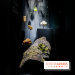 Exposition Pierres précieuses avec Van Cleef & Arpels au Muséum, nos photos