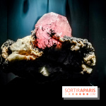 Exposition Pierres précieuses avec Van Cleef & Arpels au Muséum, nos photos