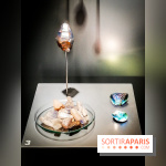 Exposition Pierres précieuses avec Van Cleef & Arpels au Muséum, nos photos