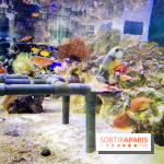 Bio-inspirée, la nouvelle expo permanente à la Cité des Sciences et de l'Industrie