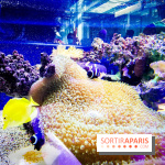 Bio-inspirée, la nouvelle expo permanente à la Cité des Sciences et de l'Industrie