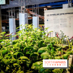 Bio-inspirée, la nouvelle expo permanente à la Cité des Sciences et de l'Industrie