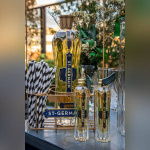 Photos Terrass Hotel x St-Germain