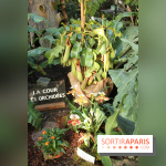 Exposition Mille & une orchidées au Jardin des Plantes