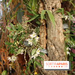 Exposition Mille & une orchidées au Jardin des Plantes