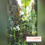 Exposition Mille & une orchidées au Jardin des Plantes