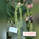 Exposition Mille & une orchidées au Jardin des Plantes