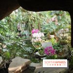 Exposition Mille & une orchidées au Jardin des Plantes