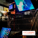 Mythologies du poisson rouge, l'exposition de l'Appart Renoma, nos photos