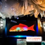 Mythologies du poisson rouge, l'exposition de l'Appart Renoma, nos photos