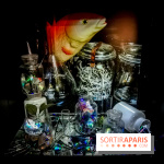 Mythologies du poisson rouge, l'exposition de l'Appart Renoma, nos photos