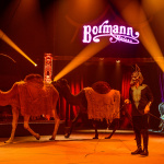 Voyage dans le temps, le spectacle du Cirque Bormann