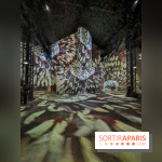 Photos : Exposition immersive Jimmy Nelson : The last sentinels à l’Atelier des Lumières 