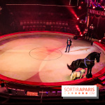 Dingue du Cirque Bouglione au Cirque d'Hiver