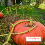 Le Domaine de la Corniche