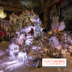 Photos : Vaux-le-vicomte en Lumières