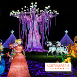 Photos : Thoiry Lumières Sauvages 2020-2021