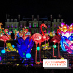 Photos : Thoiry Lumières Sauvages 2020-2021