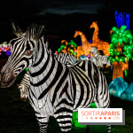 Photos : Thoiry Lumières Sauvages 2020-2021