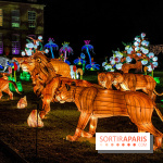 Photos : Thoiry Lumières Sauvages 2020-2021